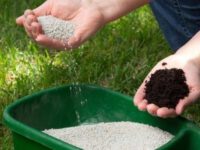Lawn Fertilization