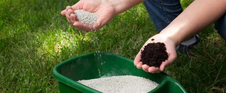 How to Properly Mow Your Lawn For Lawn Fertilization